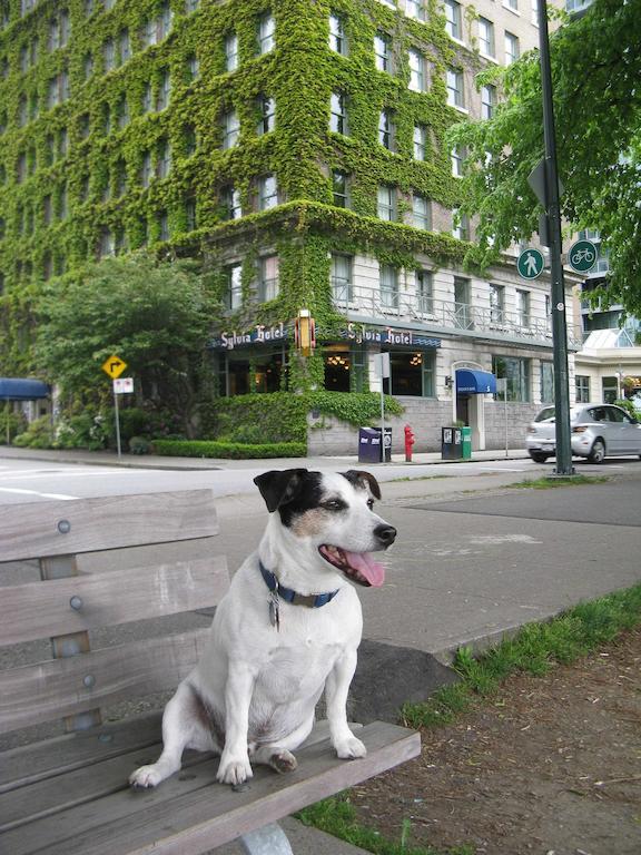 The Sylvia Hotel Vancouver Exterior photo